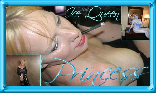 Princess SC4 Web Site